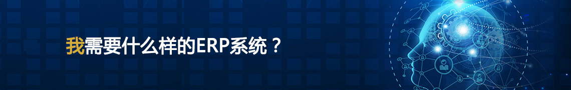 ����Ҫһ��ʲô�ӵ�ERPϵ�y(t��ng)��