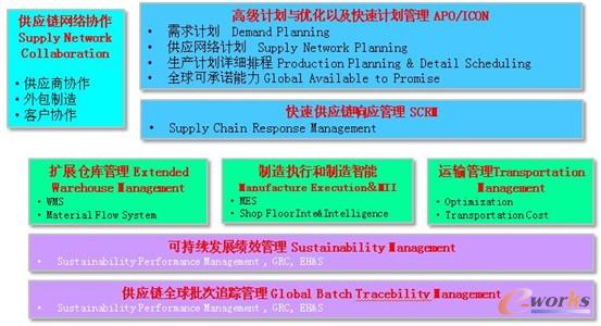 圖3 SAP供應(yīng)鏈計劃與執(zhí)行的卓越解決方案