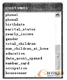 圖2 Customer數據表