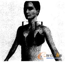 文胸的虛擬縫合 文胸的虛擬縫合