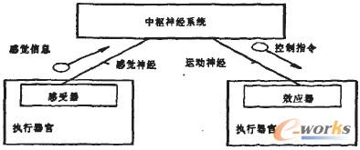 �D1 ���w����ϵ�yʾ��D