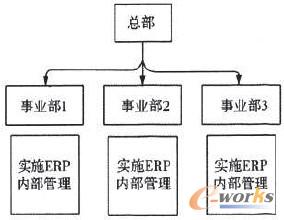 圖1 同時推進ERP