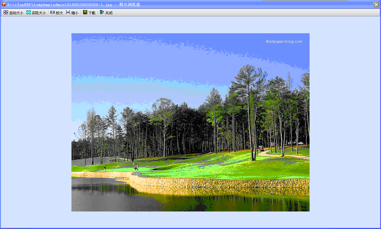 拓步ERP系統(tǒng)圖片在線預(yù)覽