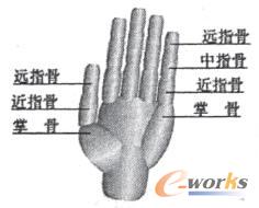 ���ֵĽY���D