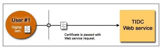 �����C��