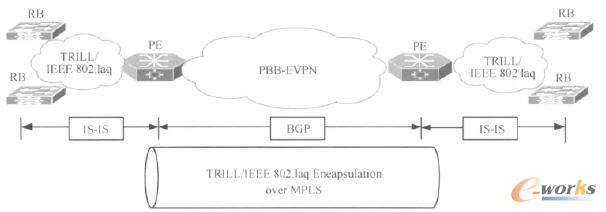 PBB E-VPN�cTRILL/IEEE802.1aq�W�j�ğo�p�B��ʾ��