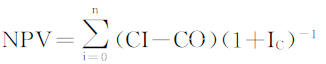 NPV���_ʽ