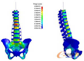 �D5 �����^��������׵���摪���ֲ�(t=0.12s)