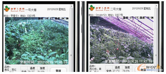 �D5 �r�I�����֙C�O�؈D