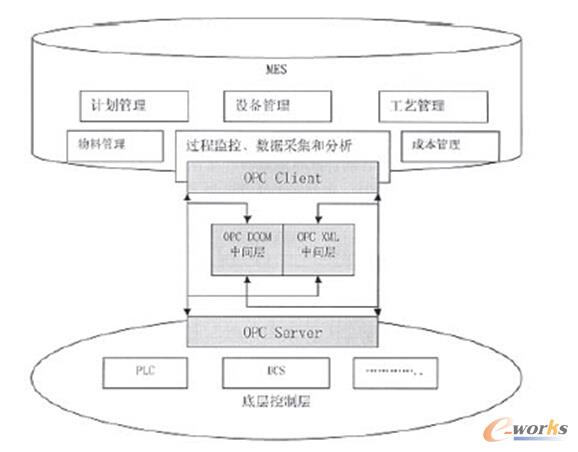 �D3 ���w�����Y�����