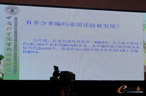   ꐝ���Ժʿ���˹����ܺʹ󔵓���δ��������t����