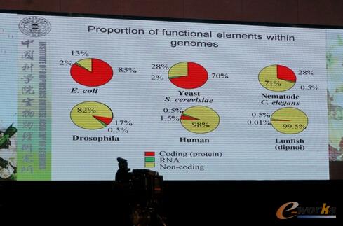 ����ͬ��������a�ĳ̶ȣ�