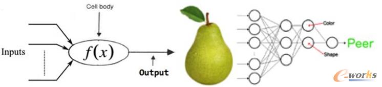 �D���������ɫ���Π