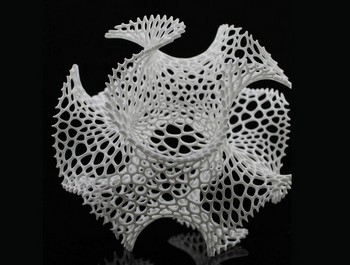 �^���I(y��)����� ���漉3D��ӡ�ľ������?