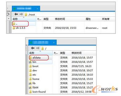 �����Ʒ�������Wվ